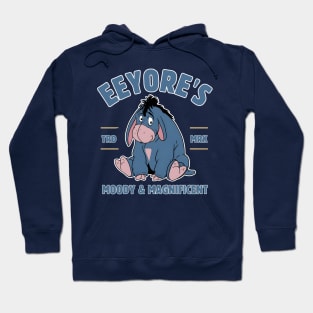 Eeyore's Moody & Magnificent Hoodie